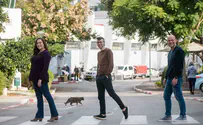 סטייק בצלוחית: מסלול ליצירת סיבי שריר