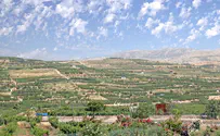 Complex rescue operation after teen falls from height in Golan