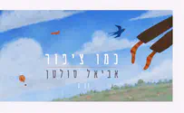 איור: מנחם הלברשטט אביאל סולטן בשיר חדש: כמו ציפור