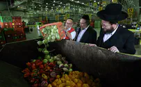 Chief Rabbinate's complaints with Tzohar kashrut