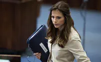 Yankelevich: Jewish Agency should lead relations with Diaspora