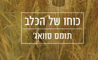 צילום: מחברות לספרות סרט חדש- כוחו של הכלב
