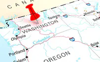 Project aims to build highway crossings for cougars