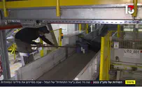 עיר התחתית של נתב"ג נחשפת