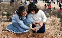  Turning Tu Bishvat into an Islamic Cause