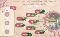 צאו לטייל לזכר רנה           