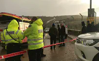 Brothers, ages 11 and 13, declared missing