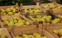 Police data: 756 farmers victim to agricultural crime in 2021