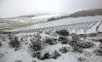 Severe frost expected towards weekend