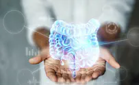 Israeli researchers develop noninvasive gut inflammation test