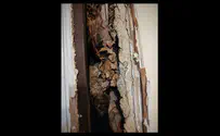 The walls of this home would speak in Yiddish