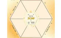Parashat Behar:  Two different Shabbatot