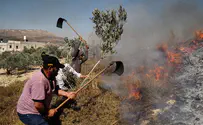 ADL denounces ‘ongoing terrorism’ by 'Israeli extremists'