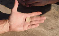 קמע עברי עתיק במזבח יהושע בשומרון
