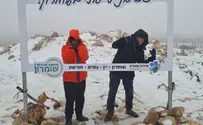 Самарийские вершины в снегу