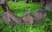 Illinois Jewish cemetery graves defaced with swastikas
