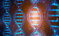 Human genetic mutation may not be random after all, study finds