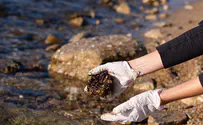 Oil spill suspected off Israel's coast