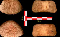 Oldest human remains discovered in Israel