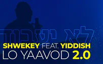 יעקב שוואקי מציג: לא יעבוד 2.0