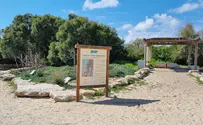 טיול: אשדוד שלא היכרתם