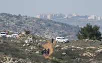 Arab rioters destroy hundreds of seedlings in Binyamin region