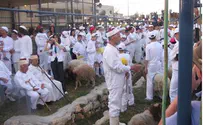 זבח הפסח השומרוני - בהר גריזים