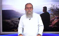 הבעיה האמיתית של הרשתות היא לא צניעות