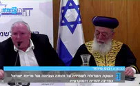 למה התכוון נסראללה בנאום "קורי העכביש"?