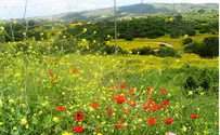 מהיום זה רשמי: הכרמל - אתר מורשת עולמי