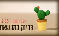 עטיפת הסינגל יעל קבסה שרה: בדיוק כמו שאת