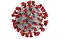 Where do COVID-19 variants come from?