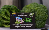 'הקפואים האיכותיים של חסלט'