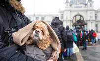 Миграция из Украины может потопить ЕС