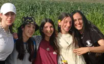 תלמידות האולפנה יצאו לעבוד בשטחים חקלאיים