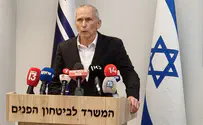 Hendel to replace Barlev in Knesset discussion on terrorism