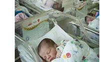 Tazria: When a woman conceives and gives birth to a male