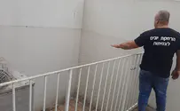 דברים שכדאי לדעת לפני שמרחיקים יונים