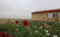 Connection of young settlements to electricity approved