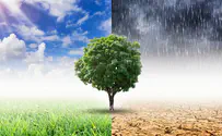 Forecasters predict spring weather - and showers