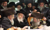 ראש העיר מ'יש עתיד' קיבל את האדמו"ר מגור