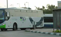 Road rage: Bus driver punched in face for braking