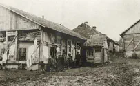 Nostalgia for the slaughterhouse