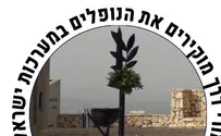  מוקירים את הנופלים בשדות המערכה