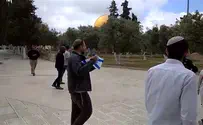 צפו: שירת התקווה על הר הבית