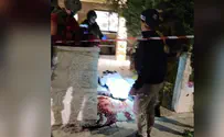 מחבל חמוש בסכין חדר לישוב תקוע וחוסל