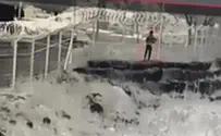 תיעוד: כך חדר המחבל ליישוב תקוע