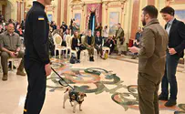 הגיבור החדש עם 220 אלף עוקבים באינסטגרם