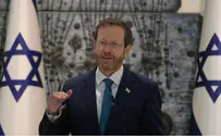 Herzog: We can create a 'Renewable Middle East'