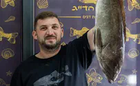 צילום: אסף קרלה יוסף הדייג במתכונים שאסור לכם לפספס